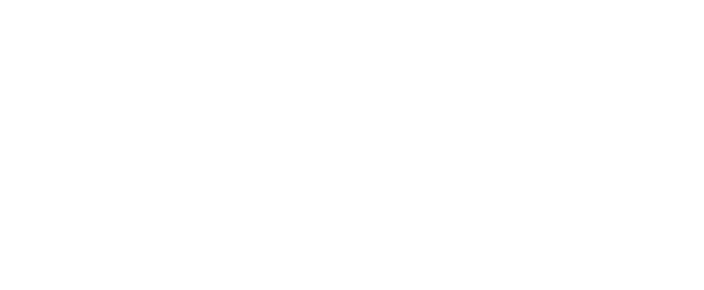 wigbertschule logo negativ